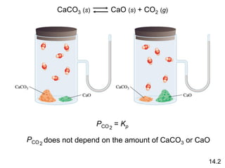 PCO2
= Kp
CaCO3 (s) CaO (s) + CO2 (g)
PCO2
does not depend on the amount of CaCO3 or CaO
14.2
 