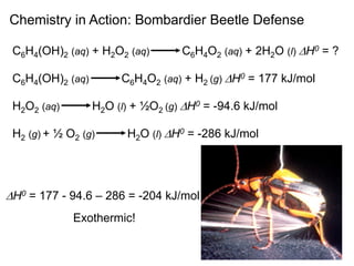 Chemistry in Action: Bombardier Beetle Defense
C6H4(OH)2 (aq) + H2O2 (aq) C6H4O2 (aq) + 2H2O (l) DH0 = ?
C6H4(OH)2 (aq) C6H4O2 (aq) + H2 (g) DH0 = 177 kJ/mol
H2O2 (aq) H2O (l) + ½O2 (g) DH0 = -94.6 kJ/mol
H2 (g) + ½ O2 (g) H2O (l) DH0 = -286 kJ/mol
DH0 = 177 - 94.6 – 286 = -204 kJ/mol
Exothermic!
 
