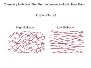 High Entropy Low Entropy
TDS = DH - DG
Chemistry In Action: The Thermodynamics of a Rubber Band
 