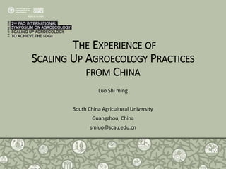 THE EXPERIENCE OF
SCALING UP AGROECOLOGY PRACTICES
FROM CHINA
Luo Shi ming
South China Agricultural University
Guangzhou, China
smluo@scau.edu.cn
 