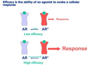 Introductory receptor pharmacology_2014-15_jap | PPTX