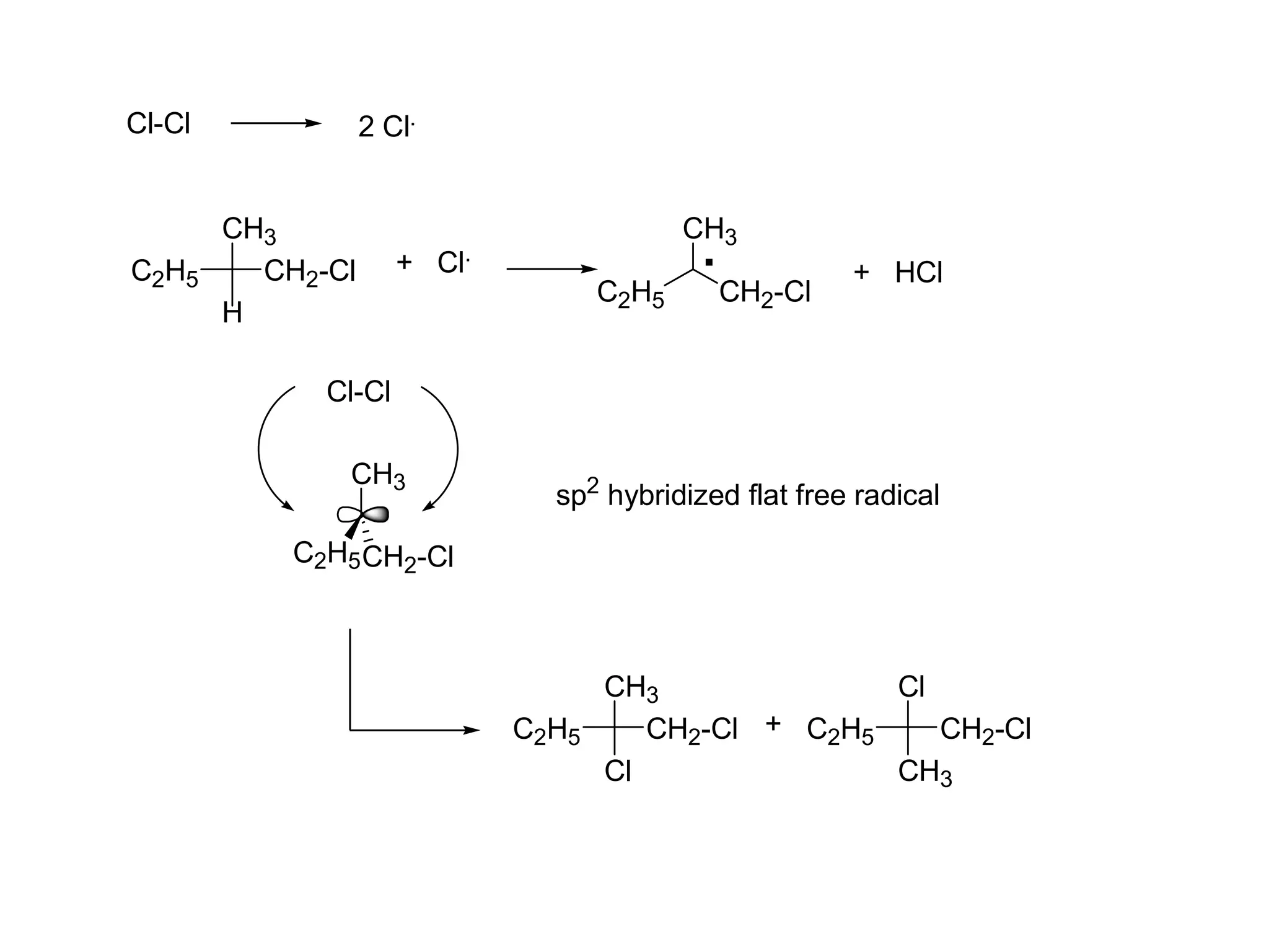CH3
H
C2H5 CH2-Cl
Cl-Cl 2 Cl.
+ Cl.
CH3
C2H5 CH2-Cl
. + HCl
CH3
C2H5CH2-Cl
Cl-Cl
sp2
hybridized flat free radical
C2H5 CH2-Cl
CH3
Cl
C2H5 CH2-Cl
Cl
CH3
+
 