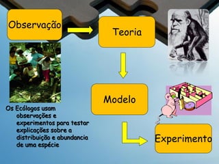 Ecologia
O que é a Ecologia?
O ambientalismo não é a
ecologia.
Mas, o estudo de Cathartes
atratus consumindo uma
presa matada por leões tem
interesse para um ecólogo.
Pode também se interessar
para as Rattus norvegicus
em lixo em São Paulo.

 