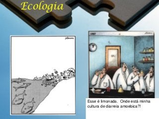 Ecologia

Esse é limonada. Onde está minha
cultura de diarreia amoebica?!

 