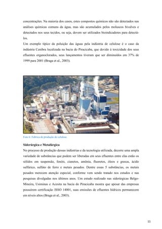 concentrações. Na maioria dos casos, estes compostos químicos não são detectados nas
análises químicas comuns da água, mas são acumulados pelos moluscos bivalves e
detectados nos seus tecidos, ou seja, devem ser utilizados bioindicadores para detectálos.
Um exemplo típico da poluição das águas pela indústria de celulose é o caso da
indústria Cenibra localizada na bacia do Piracicaba, que devido à toxicidade dos seus
efluentes organoclorados, seus lançamentos tiveram que ser diminuídos em 37% de
1999 para 2001 (Braga et al., 2003).

Foto 6: Fabrica de produção de celulose.

Siderúrgica e Metalúrgica
No processo de produção dessas indústrias e da tecnologia utilizada, decorre uma ampla
variedade de substâncias que podem ser liberadas em seus efluentes entre elas estão os
sólidos em suspensão, fenóis, cianetos, amônia, fluoretos, óleos e graxas, ácido
sulfúrico, sulfato de ferro e metais pesados. Dentre essas 5 substâncias, os metais
pesados merecem atenção especial, conforme vem sendo tratado nos estudos e nas
pesquisas divulgadas nos últimos anos. Um estudo realizado nas siderúrgicas BelgoMineira, Usiminas e Acesita na bacia do Piracicaba mostra que apesar das empresas
possuírem certificação ISSO 14001, suas emissões de efluentes hídricos permanecem
em níveis altos (Braga et al., 2003).

11

 