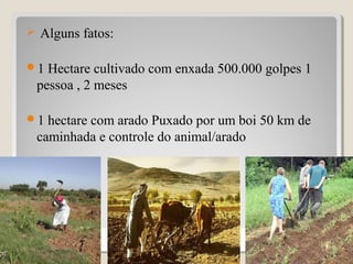  Alguns fatos:
1 Hectare cultivado com enxada 500.000 golpes 1
pessoa , 2 meses
1 hectare com arado Puxado por um boi 50 km de
caminhada e controle do animal/arado
12
 