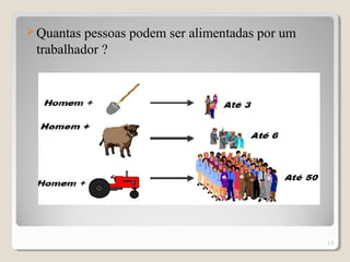 Quantas pessoas podem ser alimentadas por um
trabalhador ?
13
 