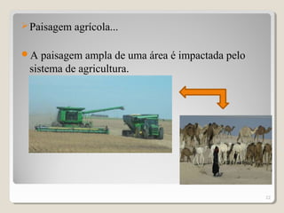Paisagem agrícola...
A paisagem ampla de uma área é impactada pelo
sistema de agricultura.
22
 