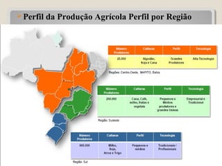 Perfil da Produção Agrícola Perfil por Região
24
 