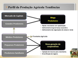 Perfil da Produção Agrícola Tendências
25
 