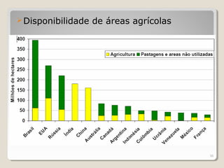 Disponibilidade de áreas agrícolas
36
 