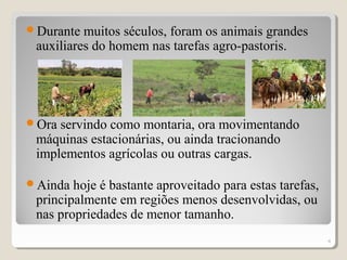 Durante muitos séculos, foram os animais grandes
auxiliares do homem nas tarefas agro-pastoris.
Ora servindo como montaria, ora movimentando
máquinas estacionárias, ou ainda tracionando
implementos agrícolas ou outras cargas.
Ainda hoje é bastante aproveitado para estas tarefas,
principalmente em regiões menos desenvolvidas, ou
nas propriedades de menor tamanho.
4
 