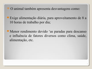  O animal também apresenta desvantagens como:
Exige alimentação diária, para aproveitamento de 8 a
10 horas de trabalho por dia;
Menor rendimento devido ‘as paradas para descanso
e influência de fatores diversos como clima, saúde,
alimentação, etc.
7
 