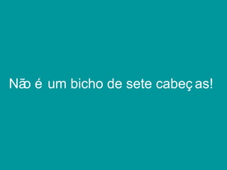 Não é um bicho de sete cabeç as!
 