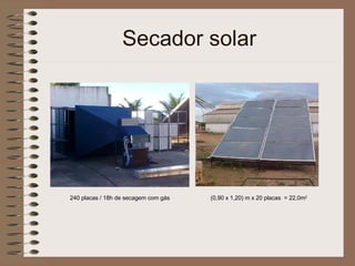 Secador solar 240 placas / 18h de secagem com gás (0,90 x 1,20) m x 20 placas  = 22,0m 2 