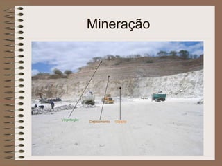 Mineração Vegetação Capeamento Gipsita 