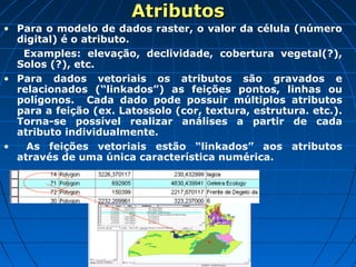 AtributosAtributos
• Para o modelo de dados raster, o valor da célula (número
digital) é o atributo.
Examples: elevação, declividade, cobertura vegetal(?),
Solos (?), etc.
• Para dados vetoriais os atributos são gravados e
relacionados (“linkados”) as feições pontos, linhas ou
polígonos. Cada dado pode possuir múltiplos atributos
para a feição (ex. Latossolo (cor, textura, estrutura. etc.).
Torna-se possível realizar análises a partir de cada
atributo individualmente.
• As feições vetoriais estão “linkados” aos atributos
através de uma única característica numérica.
 