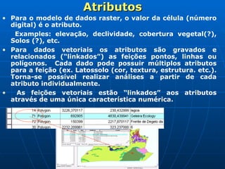 Atributos Para o modelo de dados raster, o valor da célula (número digital) é o atributo.   Examples: elevação, declividade, cobertura vegetal(?), Solos (?), etc. Para dados vetoriais os atributos são gravados e relacionados (“linkados”) as feições pontos, linhas ou polígonos.  Cada dado pode possuir múltiplos atributos para a feição (ex. Latossolo (cor, textura, estrutura. etc.). Torna-se possível realizar análises a partir de cada atributo individualmente. As feições vetoriais estão “linkados” aos atributos através de uma única característica numérica. 