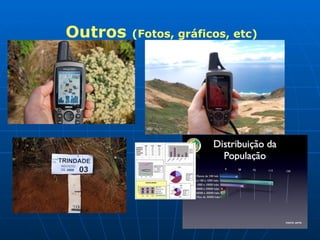 Outros  (Fotos, gráficos, etc) 