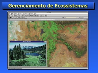 Gerenciamento de Ecossistemas 