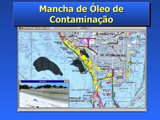 Mancha de Óleo de Contaminação 