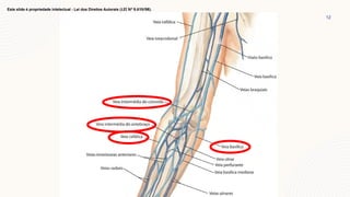12
Este slide é propriedade intelectual - Lei dos Direitos Autorais (LEI Nº 9.610/98).
 