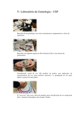 V- Laboratório de Gemologia - USP




Bancada de um gemólogo com varios instrumentos, equipamentos e obras de
referência.




Bancada com algumas agatas do Rio Grande do Sul e vista lateral do
Laboratório.




Classificação visual de cor. Há modelos de pedras com indicações de
caracteristicas da cor, para analisar amostras e a graduação de cor para
definir a pureza de uma pedra.




O “arco-iris” das cores. Série de modelos para classificação de cor usada pela
GIA, o Instituto Gemológico dos Estados Unidos.
 