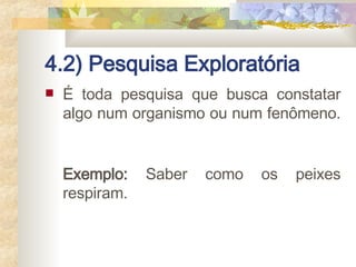 4.2) Pesquisa Exploratória É toda pesquisa que busca constatar algo num organismo ou num fenômeno.  Exemplo:  Saber como os peixes respiram.  