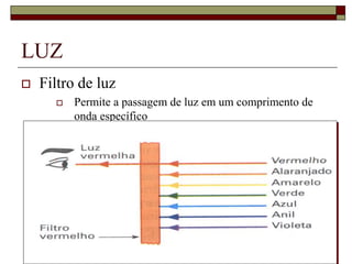 LUZ
 Filtro de luz
 Permite a passagem de luz em um comprimento de
onda específico
 