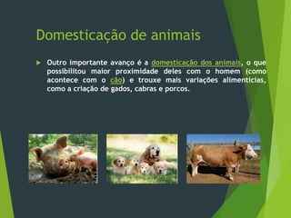 Domesticação de animais
 Outro importante avanço é a domesticação dos animais, o que
possibilitou maior proximidade deles com o homem (como
acontece com o cão) e trouxe mais variações alimentícias,
como a criação de gados, cabras e porcos.
 