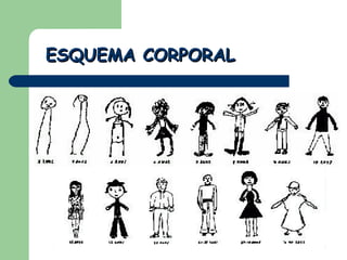 ESQUEMA CORPORAL 