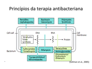 Princípios da terapia antibacteriana (Lüllman et al., 2005) 