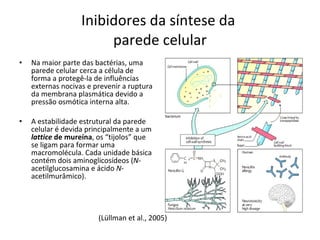 Inibidores da síntese da  parede celular Na maior parte das bactérias, uma parede celular cerca a célula de forma a protegê-la de influências externas nocivas e prevenir a ruptura da membrana plasmática devido a pressão osmótica interna alta. A estabilidade estrutural da parede celular é devida principalmente a um  lattice  de mureína , os “tijolos” que se ligam para formar uma macromolécula. Cada unidade básica contém dois aminoglicosídeos ( N- acetilglucosamina   e ácido  N -acetilmurâmico). (Lüllman et al., 2005) 