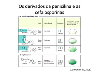 Os derivados da penicilina e as cefalosporinas (Lüllman et al., 2005) 