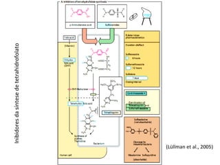 Antibacterianos Inibidores da síntese de tetrahidrofolato (Lüllman et al., 2005) 