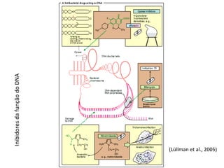 Antibacterianos (Lüllman et al., 2005) Inibidores da função do DNA 