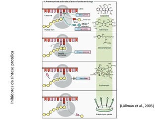 Antibacterianos (Lüllman et al., 2005) Inibidores da síntese protéica 