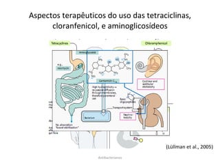 Aspectos terapêuticos do uso das tetraciclinas, cloranfenicol, e aminoglicosídeos Antibacterianos (Lüllman et al., 2005) 