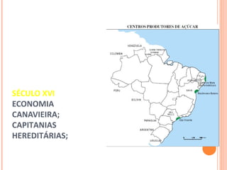 SÉCULO XVI
ECONOMIA
CANAVIEIRA;
CAPITANIAS
HEREDITÁRIAS;
 