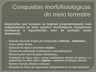 Conquistas morfofisiológicas
                do meio terrestre
Adaptações que tornaram os vegetais progressivamente mais
independentes do meio aquático (morfológicas, bioquímicas,
fisiológicas e reprodutivas); meio de proteção contra
dessecação:

– Redução da perda d„água por evaporação (cutícula _ estômatos);
– Caule, raízes, folhas;
– Absorção de água e nutrientes (raízes);
– Tecidos de sustentação (colênquima e esclerênquima);
– Estrutura para troca de gases (estômatos);
– Condução de água, sais e outras substancias através da planta, e a
  sustentação no meio aéreo ( lignina – endurece as células, xilema);
– Sistema vascular (floema e xilema);
– Alteração na forma de reprodução (independência do meio lpiquido).
 