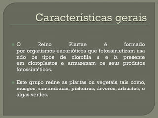    O        Reino     Plantae        é        formado
    por organismos eucarióticos que fotossintetizam usa
    ndo os tipos de clorofila a e b, presente
    em cloroplastos e armazenam os seus produtos
    fotossintéticos.

   Este grupo reúne as plantas ou vegetais, tais como,
    musgos, samambaias, pinheiros, árvores, arbustos, e
    algas verdes.
 