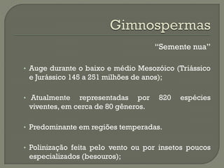 “Semente nua”

• Auge durante o baixo e médio Mesozóico (Triássico
 e Jurássico 145 a 251 milhões de anos);

• Atualmente   representadas por       820   espécies
 viventes, em cerca de 80 gêneros.

• Predominante em regiões temperadas.


• Polinização feita pelo vento ou por insetos poucos
 especializados (besouros);
 