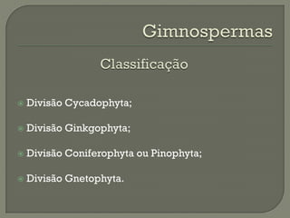    Divisão Cycadophyta;

   Divisão Ginkgophyta;

   Divisão Coniferophyta ou Pinophyta;

   Divisão Gnetophyta.
 