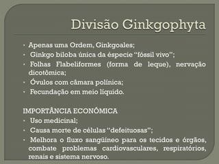 • Apenas uma Ordem, Ginkgoales;
• Ginkgo biloba única da éspecie “fóssil vivo”;
• Folhas Flabeliformes (forma de leque), nervação
  dicotômica;
• Óvulos com câmara polínica;
• Fecundação em meio líquido.


IMPORTÂNCIA ECONÔMICA
• Uso medicinal;
• Causa morte de células “defeituosas”;
• Melhora o fluxo sangüíneo para os tecidos e órgãos,
  combate problemas cardiovasculares, respiratórios,
  renais e sistema nervoso.
 
