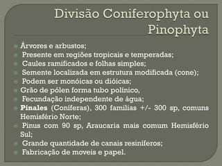    Árvores e arbustos;
   Presente em regiões tropicais e temperadas;
   Caules ramificados e folhas simples;
   Semente localizada em estrutura modificada (cone);
   Podem ser monóicas ou dióicas;
   Grão de pólen forma tubo polínico,
   Fecundação independente de água;
   Pinales (Coníferas), 300 familias +/- 300 sp, comuns
    Hemisfério Norte;
   Pinus com 90 sp, Araucaria mais comum Hemisfério
    Sul;
   Grande quantidade de canais resiníferos;
   Fabricação de moveis e papel.
 