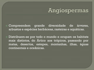    Compreendem grande diversidade de árvores,
    arbustos e espécies herbáceas, rasteiras e aquáticas.

   Distribuem-se por todo o mundo e ocupam os habitats
    mais distintos, do Ártico aos trópicos, passando por
    matas, desertos, estepes, montanhas, ilhas, águas
    continentais e oceânicas.
 