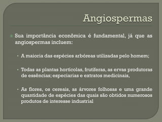    Sua importância econômica é fundamental, já que as
    angiospermas incluem:

    • A maioria das espécies arbóreas utilizadas pelo homem;


    • Todas as plantas hortícolas, frutíferas, as ervas produtoras
      de essências; especiarias e extratos medicinais,

    • As flores, os cereais, as árvores folhosas e uma grande
      quantidade de espécies das quais são obtidos numerosos
      produtos de interesse industrial
 