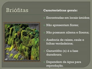 Características gerais:

   Encontradas em locais úmidos;

   Não apresentam flores;

   Não possuem xilema e floema;

   Ausência de raízes, caule e
    folhas verdadeiros;

   Gametófito (n) é a fase
    duradoura;

   Dependem da água para
    reprodução.
 