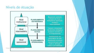 Níveis de Atuação
Professor Danilo Pires- danilospires@gmail.com
 