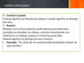 TERMOS DIRECIONAIS 
 Cranial e Caudal: 
Cranial significa na direção da cabeça e caudal significa na direção 
do rabo. 
 Rostral: 
Rostral é um termo especial usado apenas para descrever 
posições ou direções na cabeça, o termo cranial perde sua 
referencia na cabeça, porque o crânio faz parte dela 
Rostral significa na direção do nariz (rostro) 
• Exemplo: “Os olhos de um animal estão localizados rostrais às 
suas orelhas.” 
 